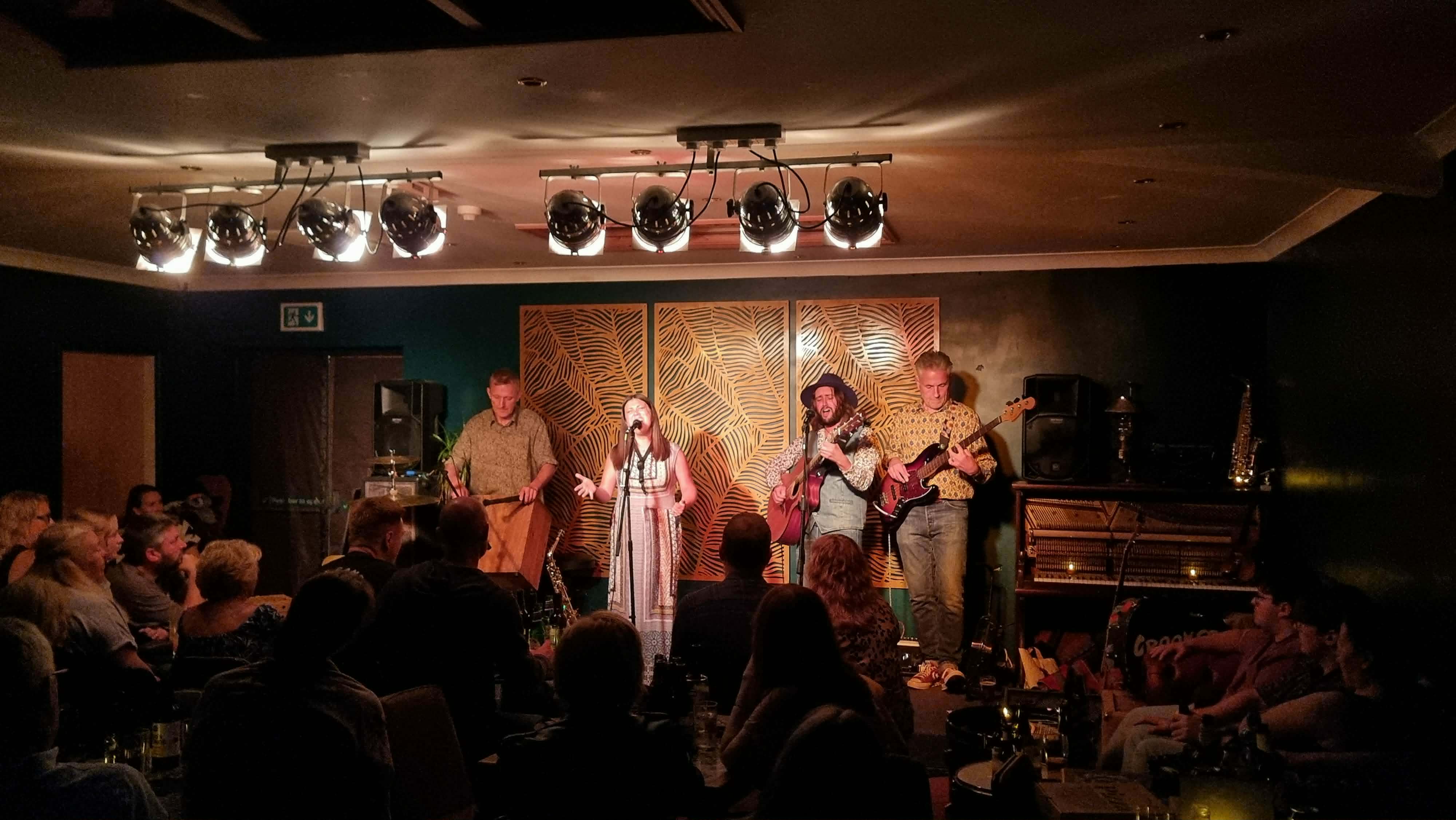 Live music performance